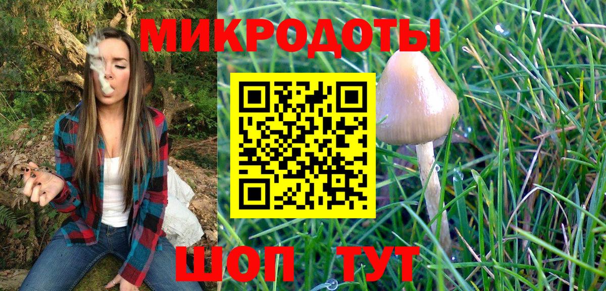 Псилоцибиновые грибы Psilocybe Тавда
